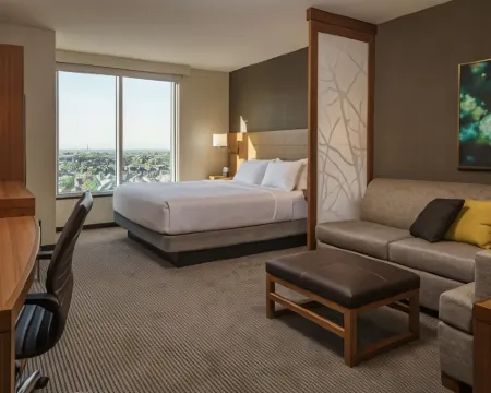 Hyatt Place Houston/Galleria Hotels in Houston
