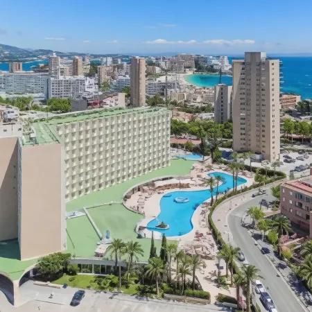 Sol Guadalupe