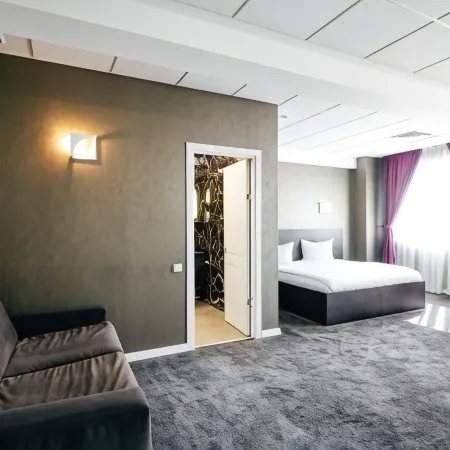 Business Hotel Conference Center & Spa Отели в г. Тыргу-Муреш