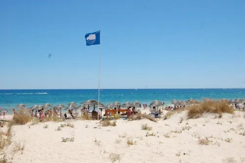 Cabanas T1 Apartment with Balcony & BBQ – 8Min Walk to Beachfront - 3-Star