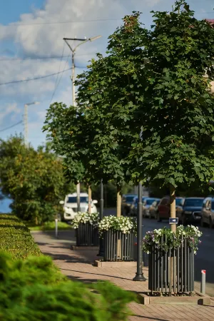 Sakvoyazh impressions Hotel