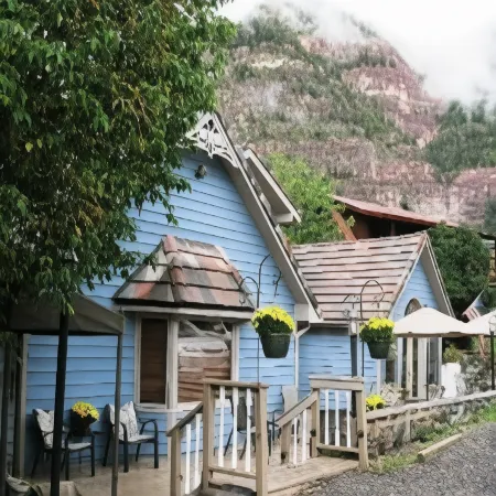Black Bear Manor