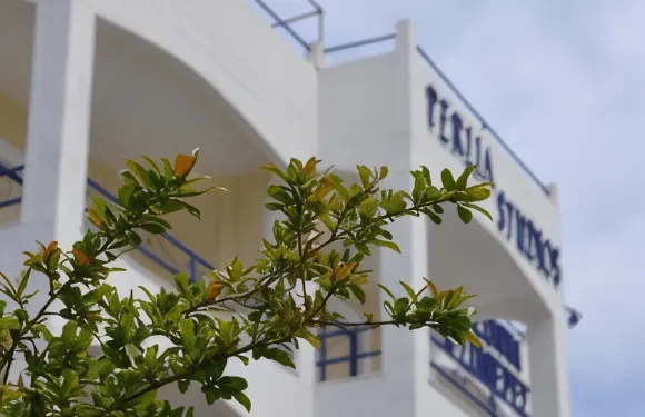 瓦倫特佩利亞房間