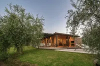 Posada Verde Oliva Hotels in Maipú