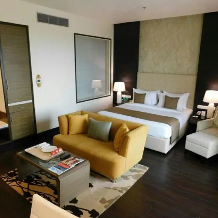 Sayaji Raipur