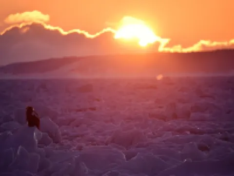 知床サライ 羅臼のホテル