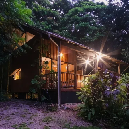 Epiphyte B & B