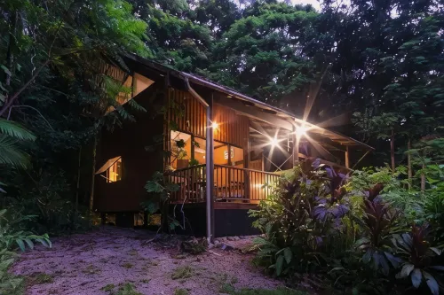 Epiphyte B & B
