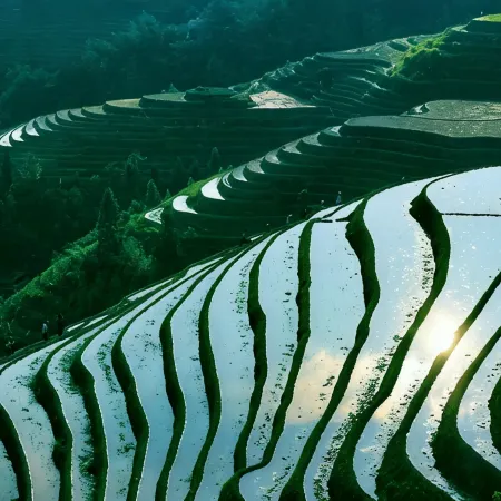Yuelai Courtyard Hotel (Longsheng Longji Terrace Observation Deck)