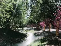 象山望月庵中国式旅館 - イン(INN)