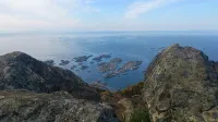 Tobiasbrygga