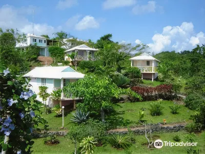 Las Mariposas Hotels in 
