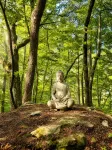 Cozy basecamp minutes from waterfalls, hiking and climbing