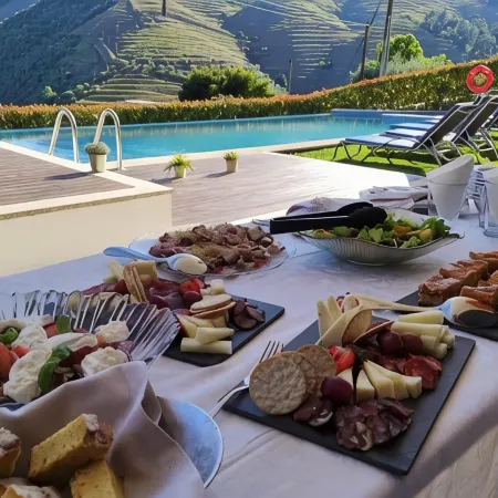 6 bedrooms/suites, infinity pool, gymnasium, gardens, barbecue - Douro Valley