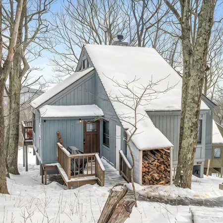 House on the slopes  Ski-in/out