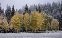 Beautiful Meadow View