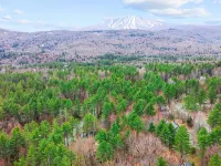 Stratton Mountain Ski Chalet: Hot Tub, Gameroom, Firepit, Grill, EV & Pond Views Hotels in Winhall