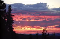 Experience True Alaska Secluded Cabin Just 15 Miles from Denali National Park.
