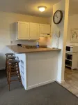 Ski In & Ski Out - Deluxe 1 Bedroom Condo Sleeps 5 - Wifi