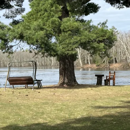 EAGLE LODGE - River Retreat - amazing views of the East Fork of the Chippewa Rvr