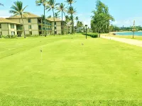 It's All about the View! Oceanfront, A/C, Elevator