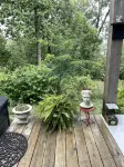 Secluded, Cozy Cottage in the Shenandoah Valley - 4-Star