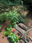 Walk to Waterfalls!  Cozy All Seasons Highlands Cabin 6 min to Town - Gym