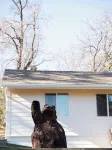 Modern Yosemite Escape – Cozy + Nature Views + EV Charger + Large Deck +Kitchen