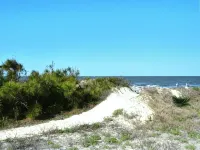 Jekyll Beach - Terrapin Haven