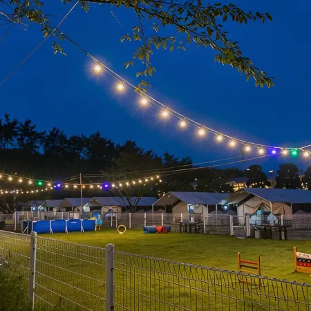 Seosan Pet & Tree Dog Glamping (Individual Barbecue)