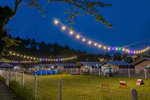 Seosan Pet & Tree Dog Glamping (Individual Barbecue) - Pools