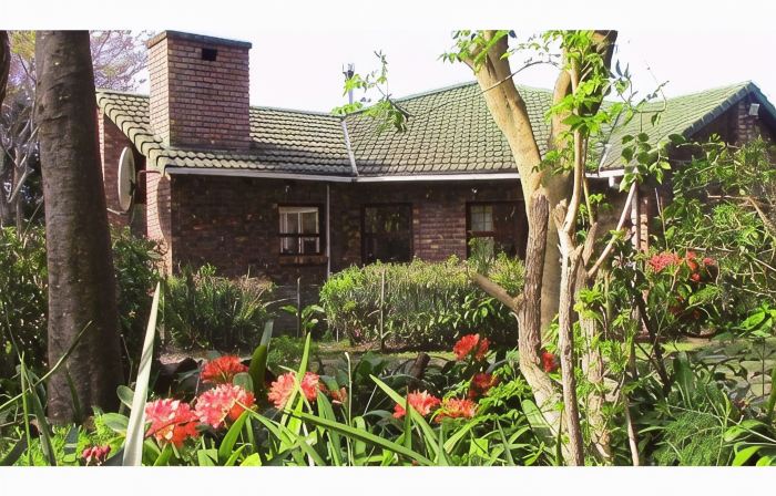 Forest Nest Cottage, Tsitsikamma