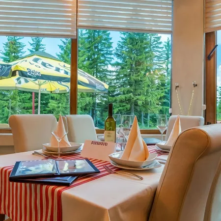 Ski Hotel