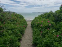 Walk to Campobello & Beach/Weekly Discount/Pets Welcome/Water Views /Fire Pit Hotels in Lubec