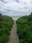 Walk to Campobello & Beach/Weekly Discount/Pets Welcome/Water Views /Fire Pit - Wifi