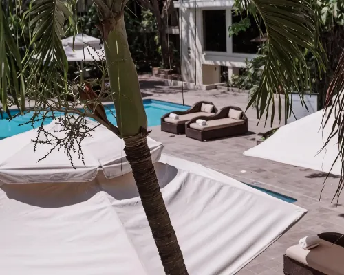 HS Hotsson Hotel Tampico Hotels in Tampico