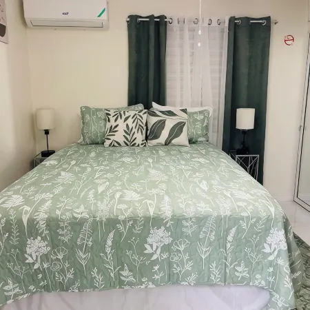 Chic 1-bedroom apartment with AC, WiFi in central New Kingston area