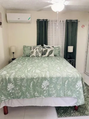 Chic 1-bedroom apartment with AC, WiFi in central  New  Kingston area