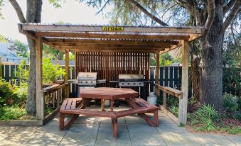 Alpha Motor Inn