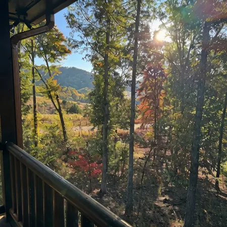 Romantic Cabin w/ Hot Tub, Fire Pit & Mountain Views