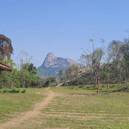 Palash Pahar Resort