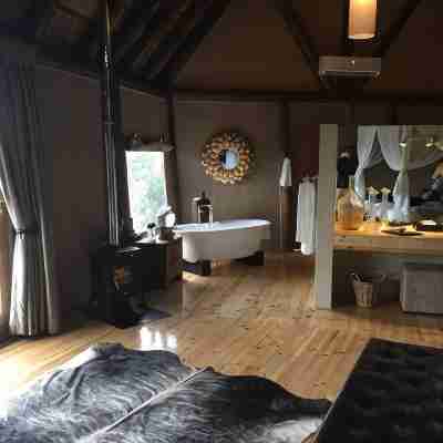 Bush Lodge (Amakhala GR) Rooms