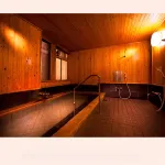 Ryokan Wataya - Varme kilder