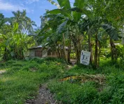 J Travel Trail Inn in Hubangon, Mahinog, Camiguin - pet friendly