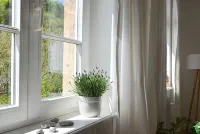 Die Gründerzeitvilla Zwischen Weinstraße und Pfälzer Wald - 4-Star