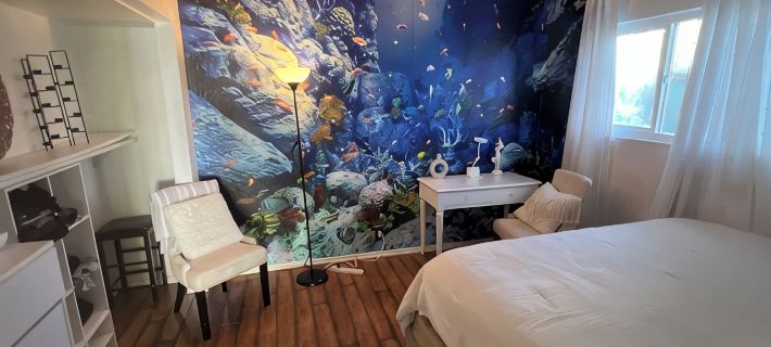 The 'Top of the World' Palmtree View Suite! 2BR/2BA Hotels in San Clemente