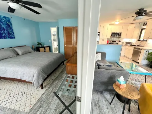 Charming 1-bedroom ground floor Ohana apartment in lovely Pāhoa with WiFi - Homestays
