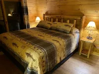 New 2/2 log cabin, rushing trout stream, hot tub, fireplace, 4 acres - Alppimaja