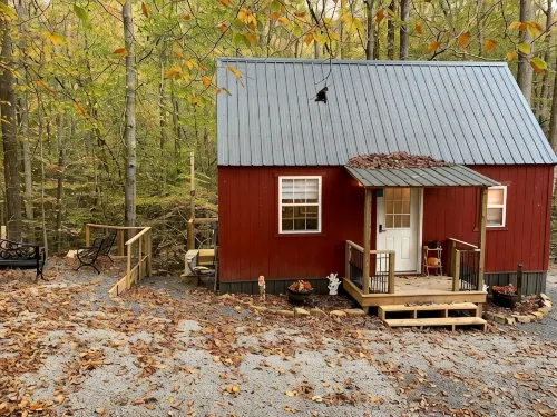 Raccoon Lodge at Coops Creek Cabins - Homestays