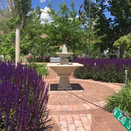 LARGE HOUSE - Perfect for groups! In the middle of WINE COUNTRY - WALK TO TOWN!
